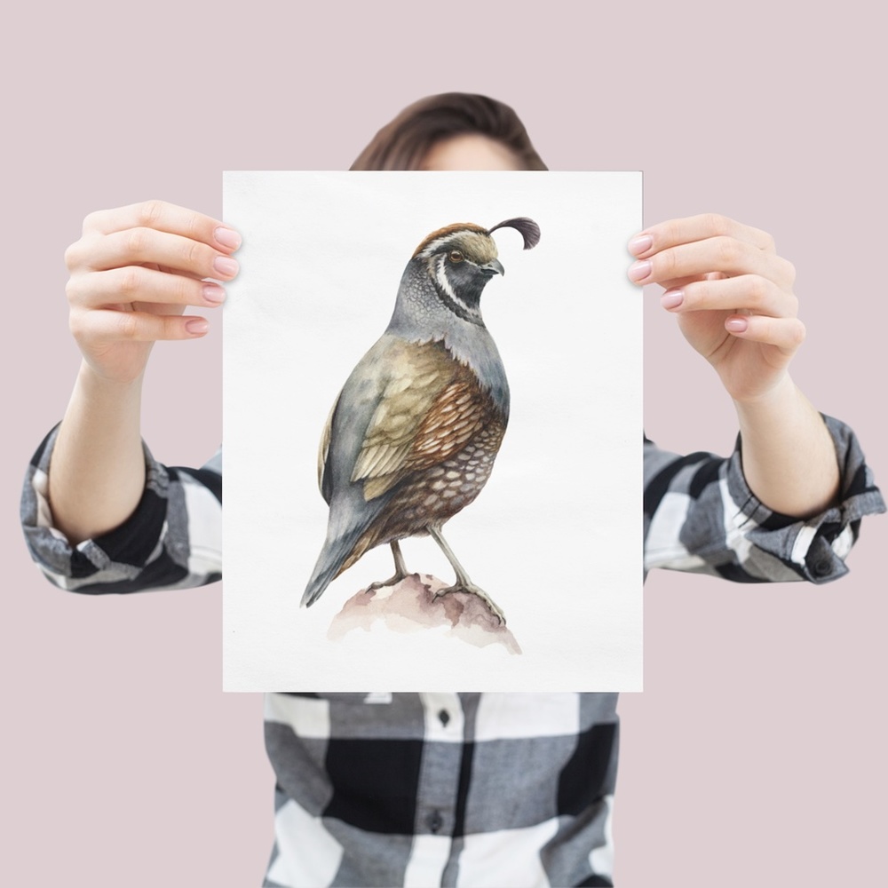 Quail Bird Wall Art Watercolor Illustration Print Poster Card Unframed - Picture 5 of 7